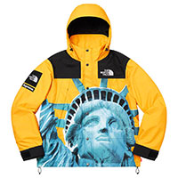 × シュプリーム 19AW Statue of Liberty Mountain Jacket