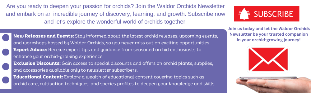 Waldor Orchids Newsletter Sign Up