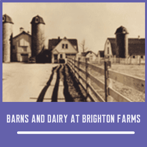 Barns and Dairy at Brighton Farms Built by George Off 