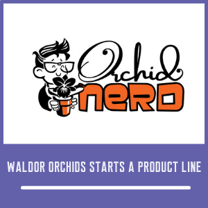 Waldor Orchid Starts Product Line Orchid Nerd in 2019