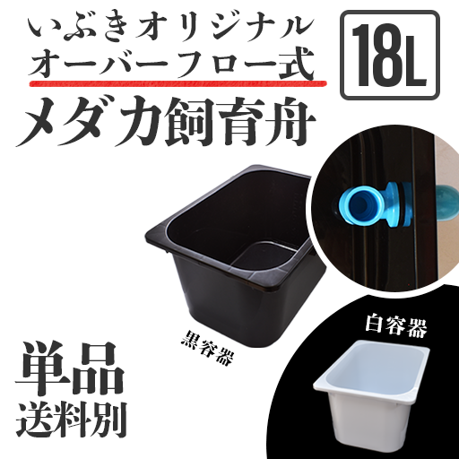 対テロリストの メダカ飼育ケース5個 樽型１８L オーバーフロー加工済