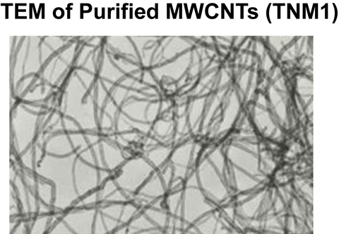 Purified MWCNTs (TNM1)