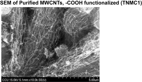 Purified MWCNTs, -COOH functionalized (TNMC1)