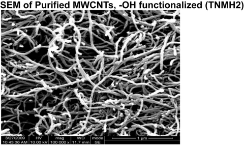 Purified MWCNTs, -OH functionalized (TNMH2)
