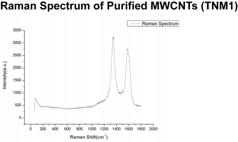 Purified MWCNTs (TNM1)