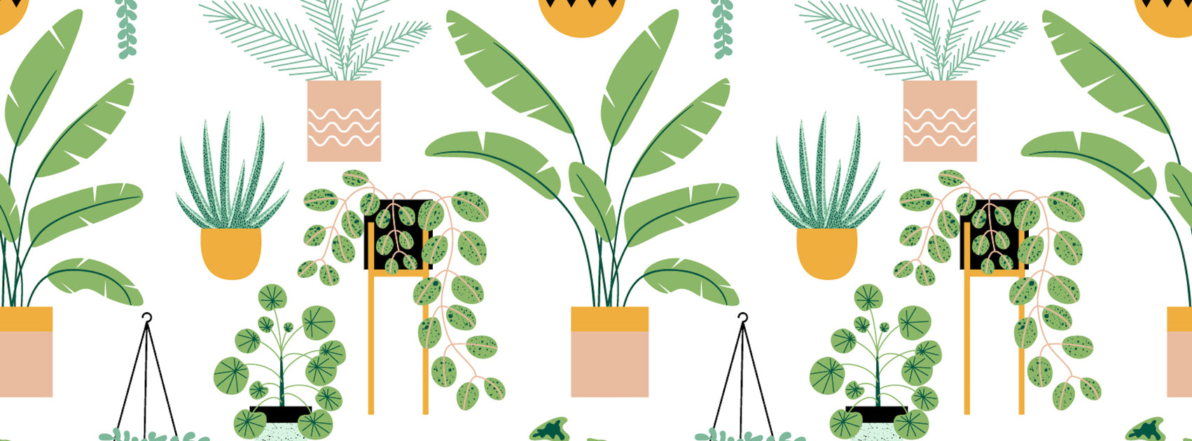 houseplant-vector-image-banner