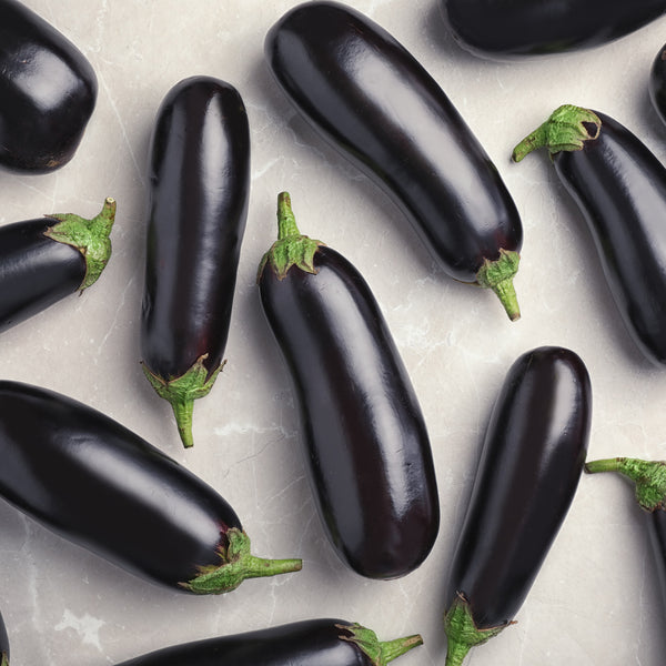 aubergine