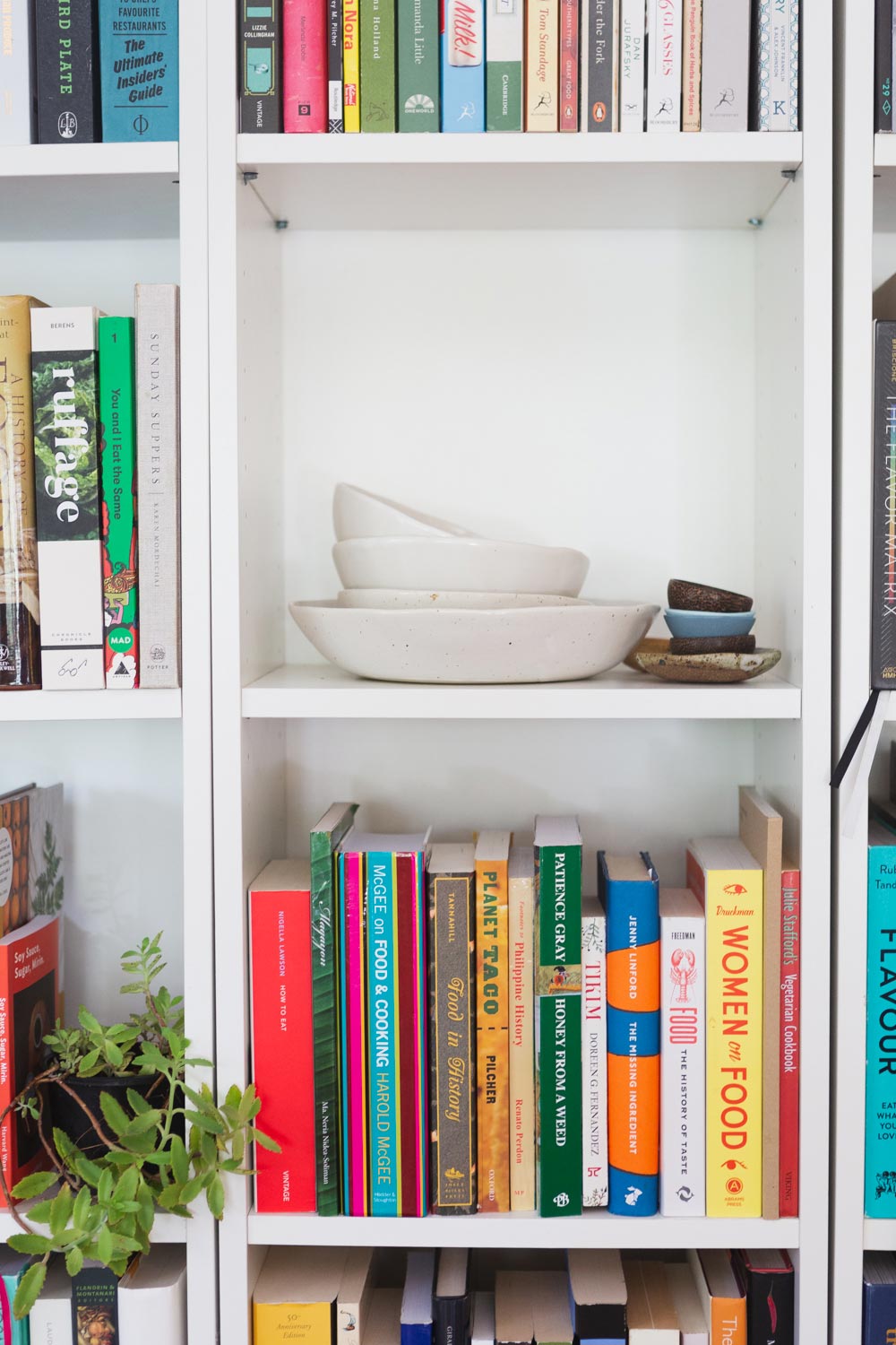 Luisa Brimble’s bookcase housing her collection of winterwares ceramics