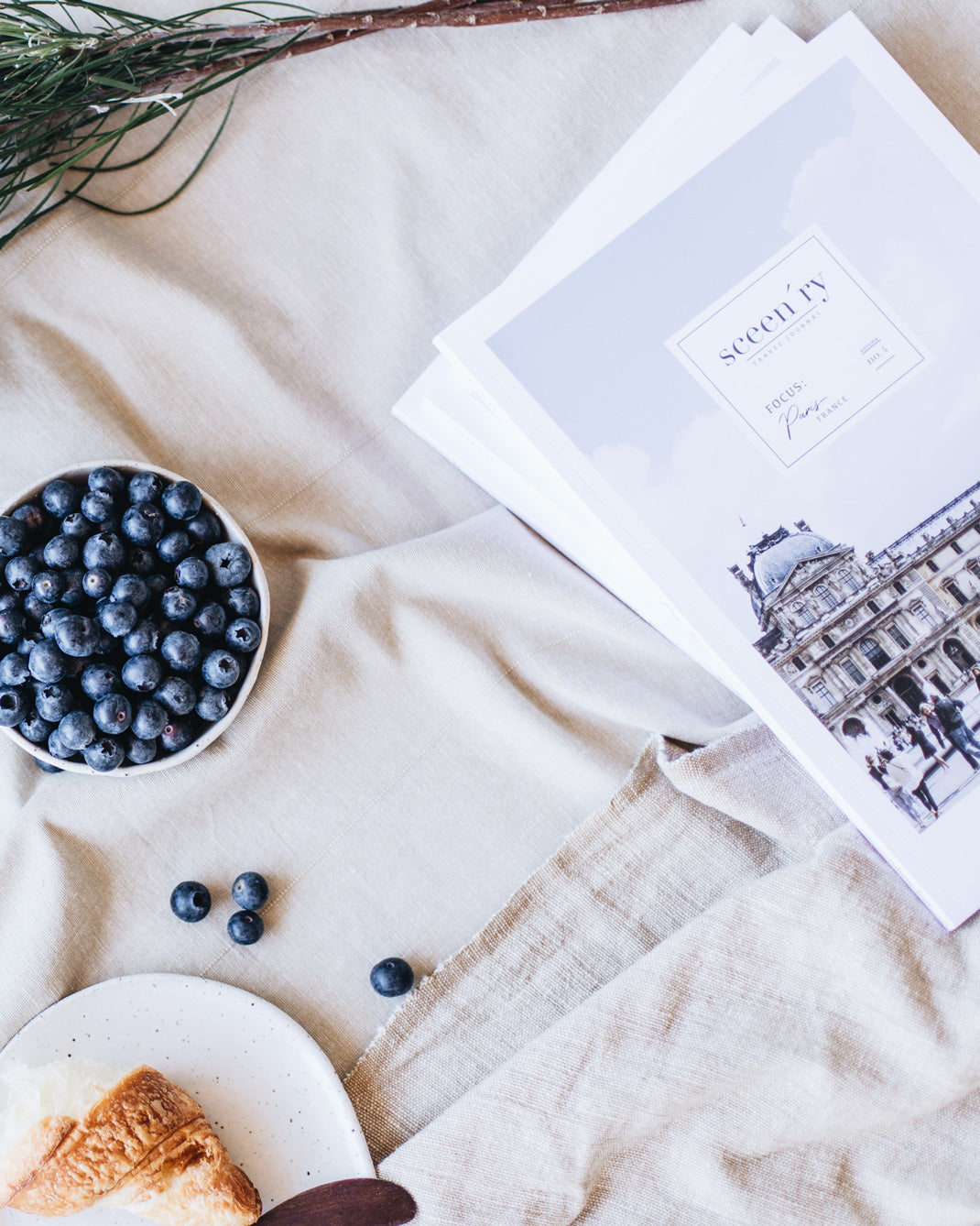 Sceen'ry magazine on the table with blueberries 