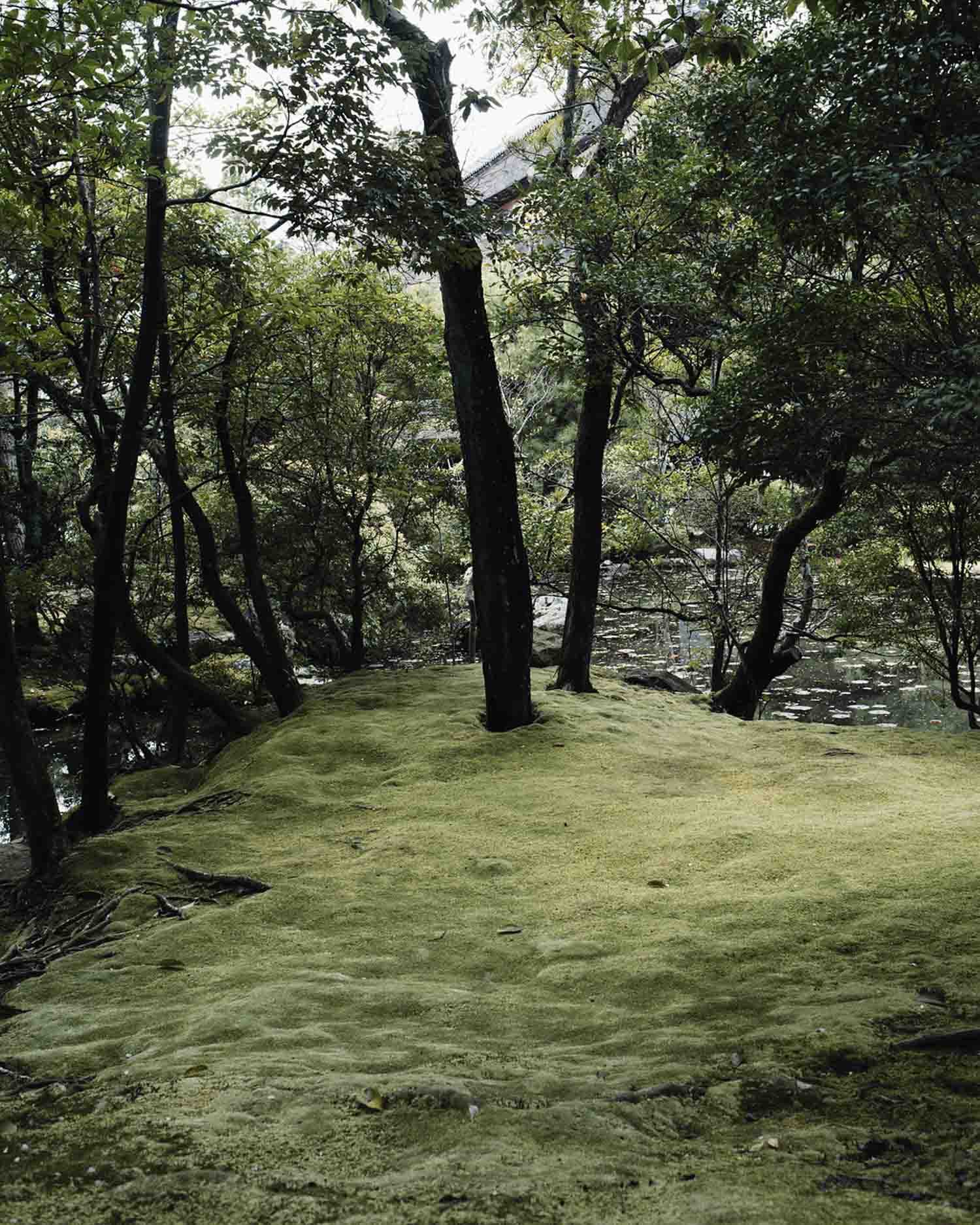 Japanese zen garden in Kyoto