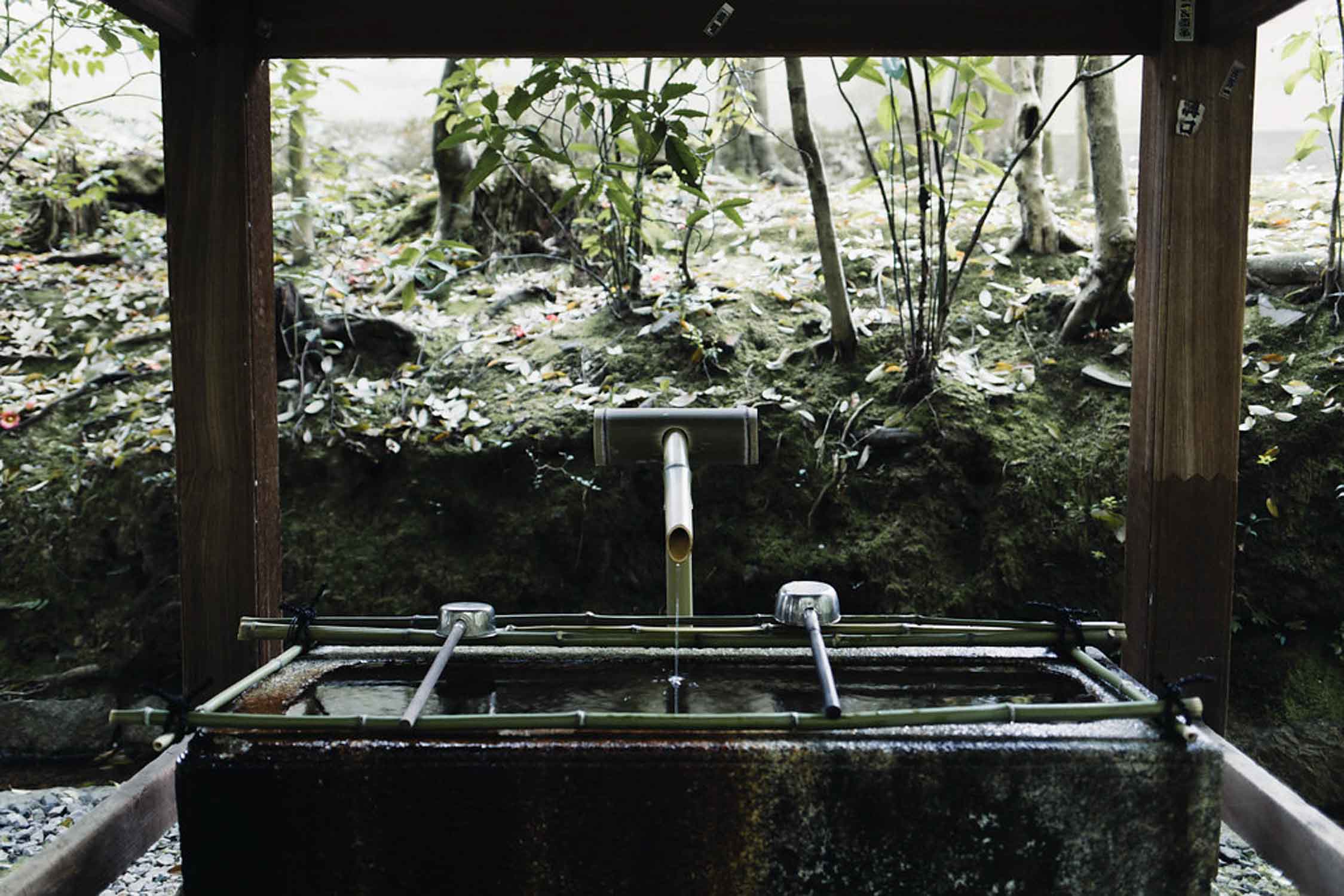 Hand purifying shrine in a Japanese zen garden in Kyoto