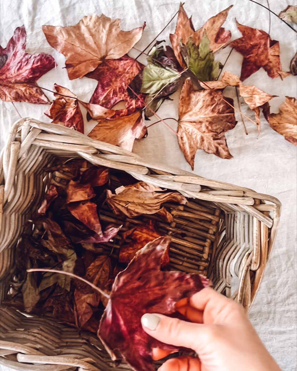 basket of leaves