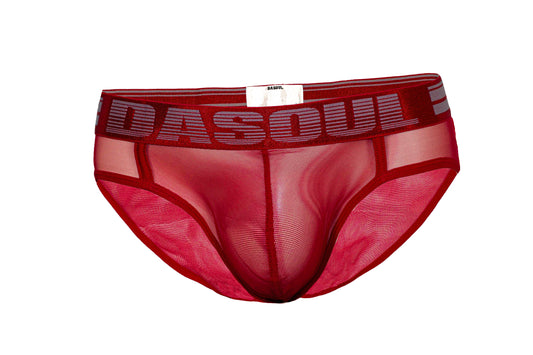 DASOUL Ebony Sheer Micro-Mesh Brief – DASOUL UNDERWEAR