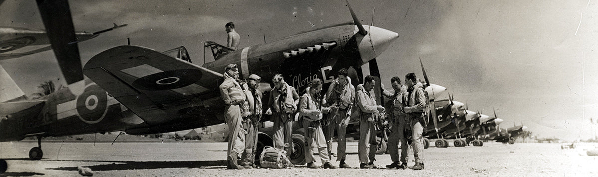 Hobby Master Curtiss P-40N Warhawk "Gloria Lyons" RNZAF Background