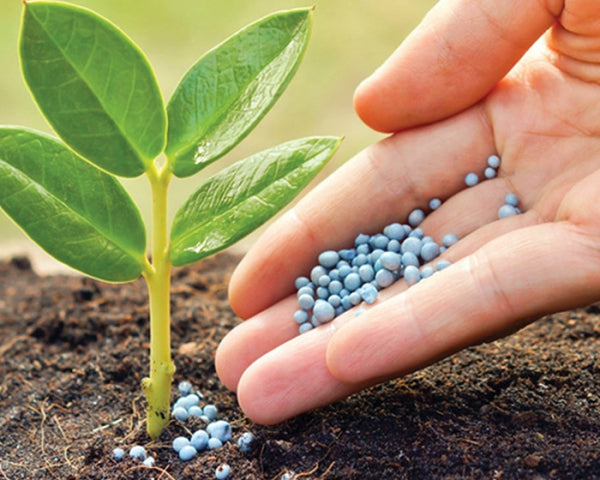 Fertilizantes NPK. ¿Qué son y para qué sirven? Tipos de Nutrientes