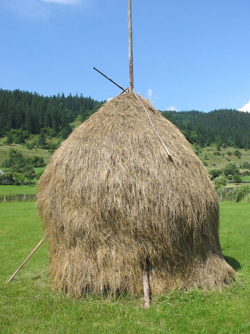 Heno para forraje, procedente de Rumanía.