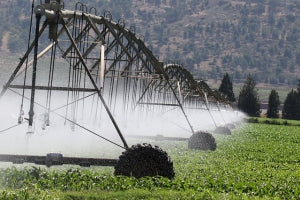 Pivot de regadío, una de las herramientas de agricultura de irrigación