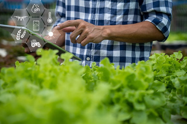 Transformación digital del sector agroalimentario