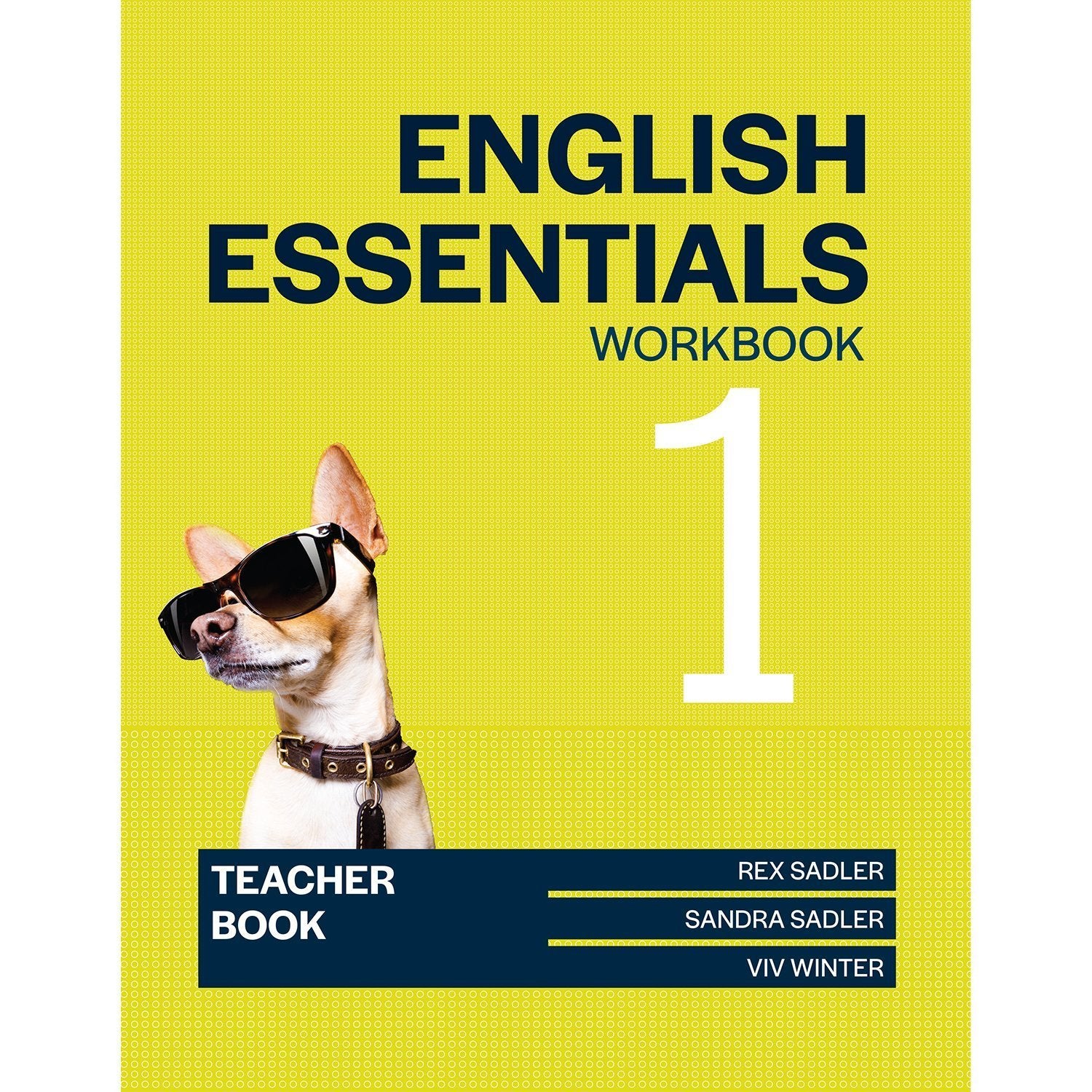 practice teaching book pdf