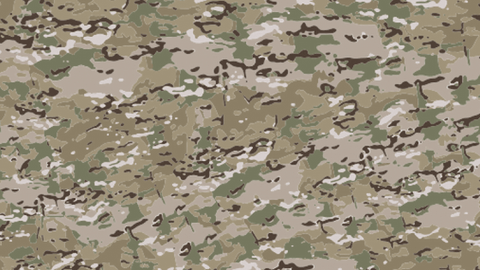 camouflage multicam
