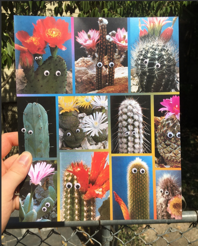 Hills And Holler Card. A collage of cacti photos with each cactus featuring googly-eyes. 