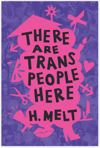 cover of the book There Are Trans People Here