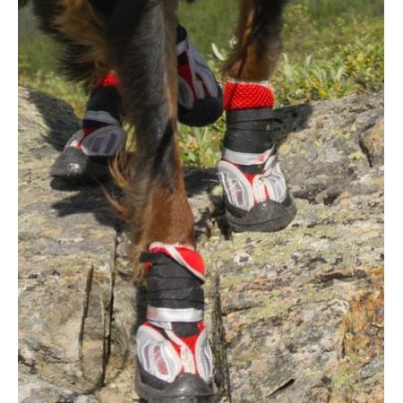 shoes for dogs summer