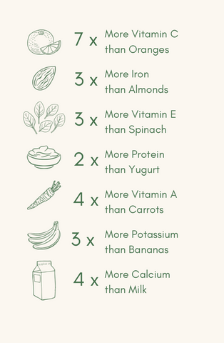 Moringa and vitamins