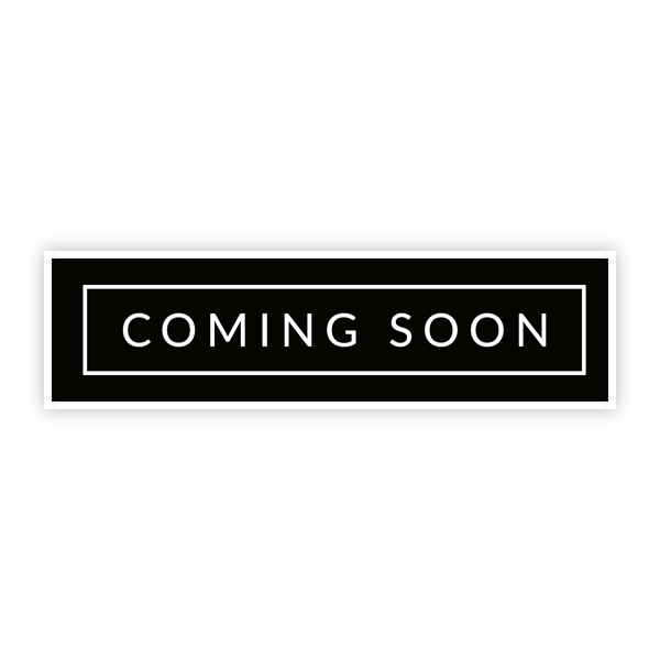 MST 310056 FXX Steering arm post