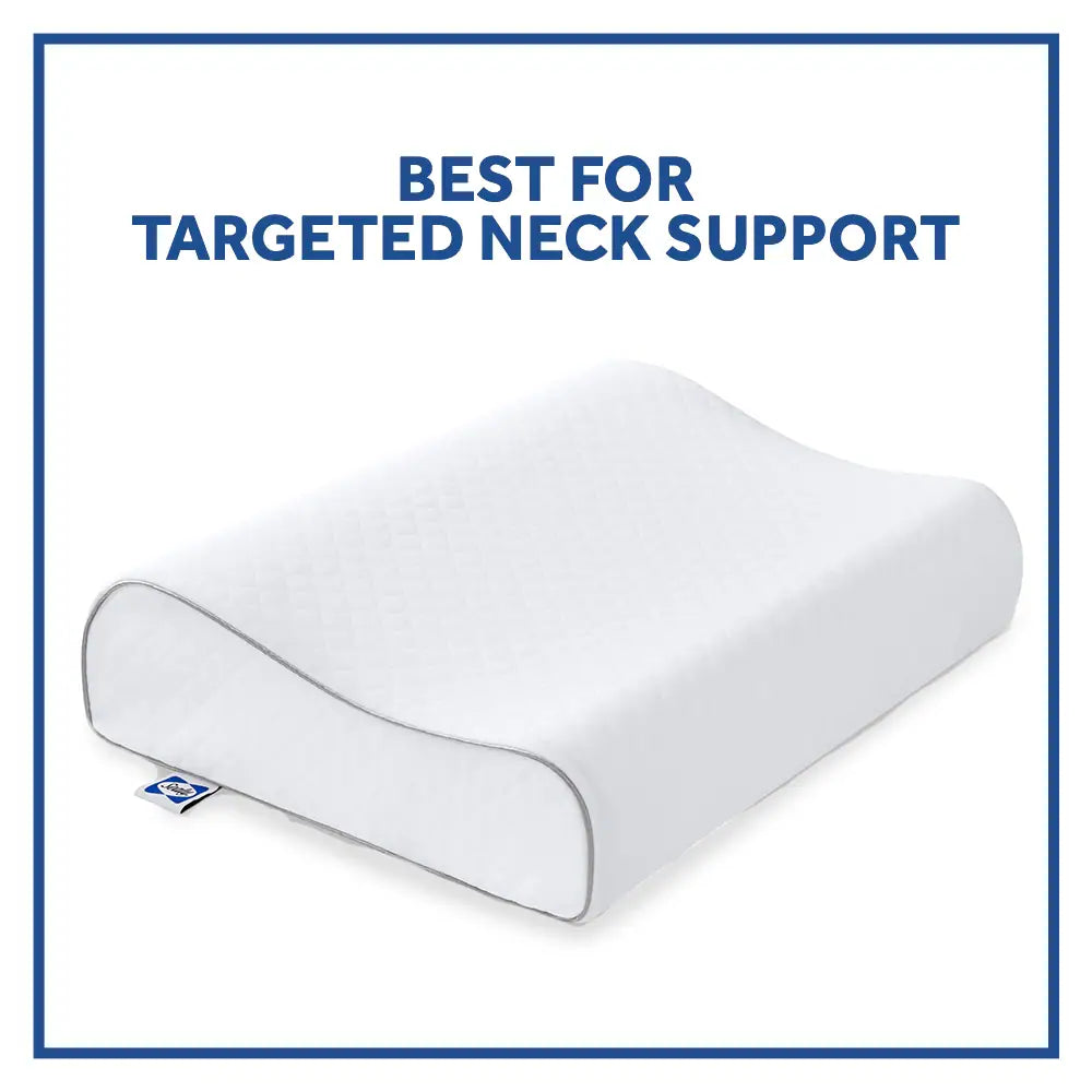 Sealy Essentials Contour Curve Memory Foam Pillow