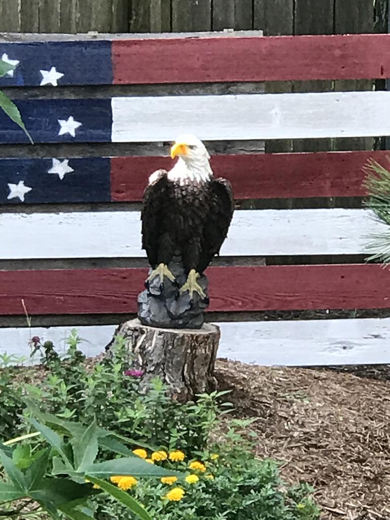 Majestic Bald Eagle Garden Statue, 24 Inch