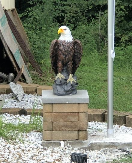 Majestic Bald Eagle Garden Statue, 24 Inch