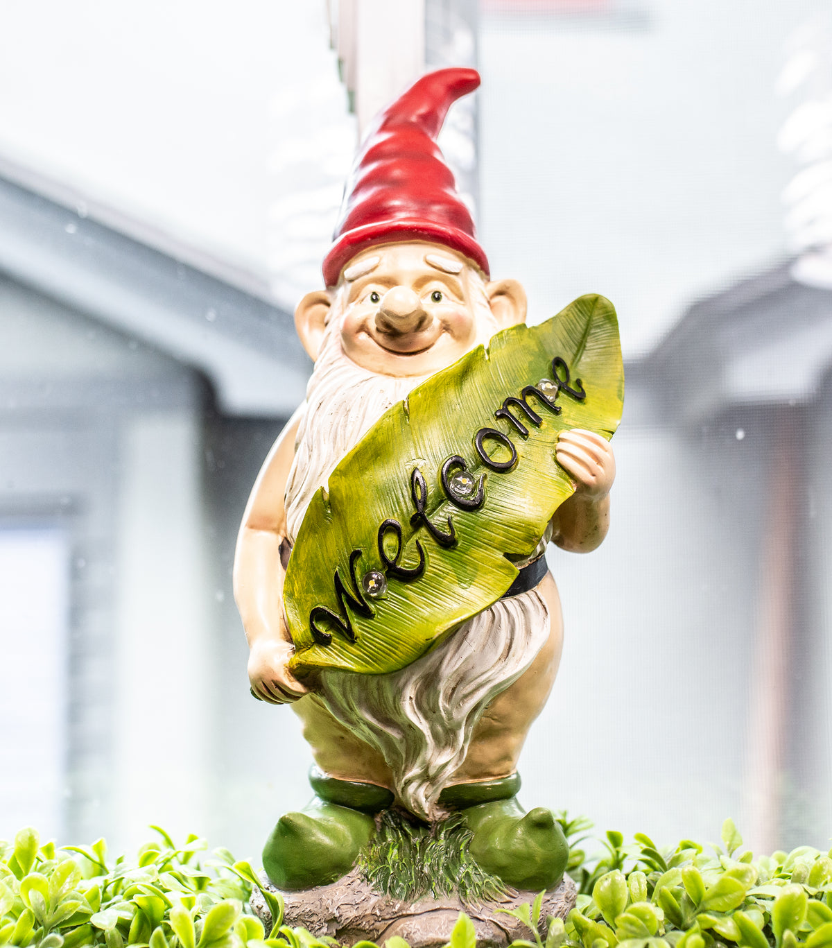 Spread Your Garden Gnome Magic