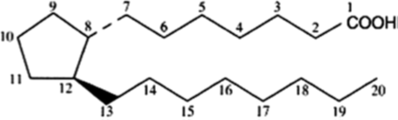 basic structure of prostaglandins