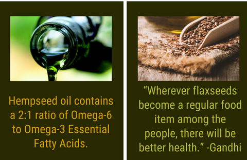 vegan sources of omega-3 and omega-6 fatty acids