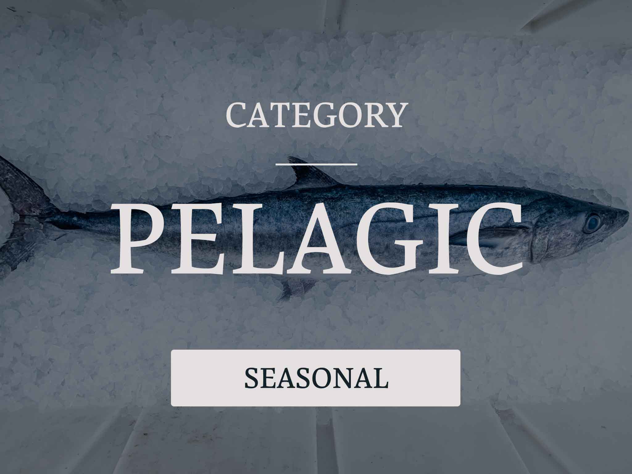 Pelagic  Finn-Atic Fish Co.