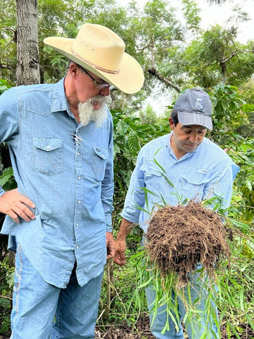 Guatemala Bella Vista - L'agriculture régénératrice en action