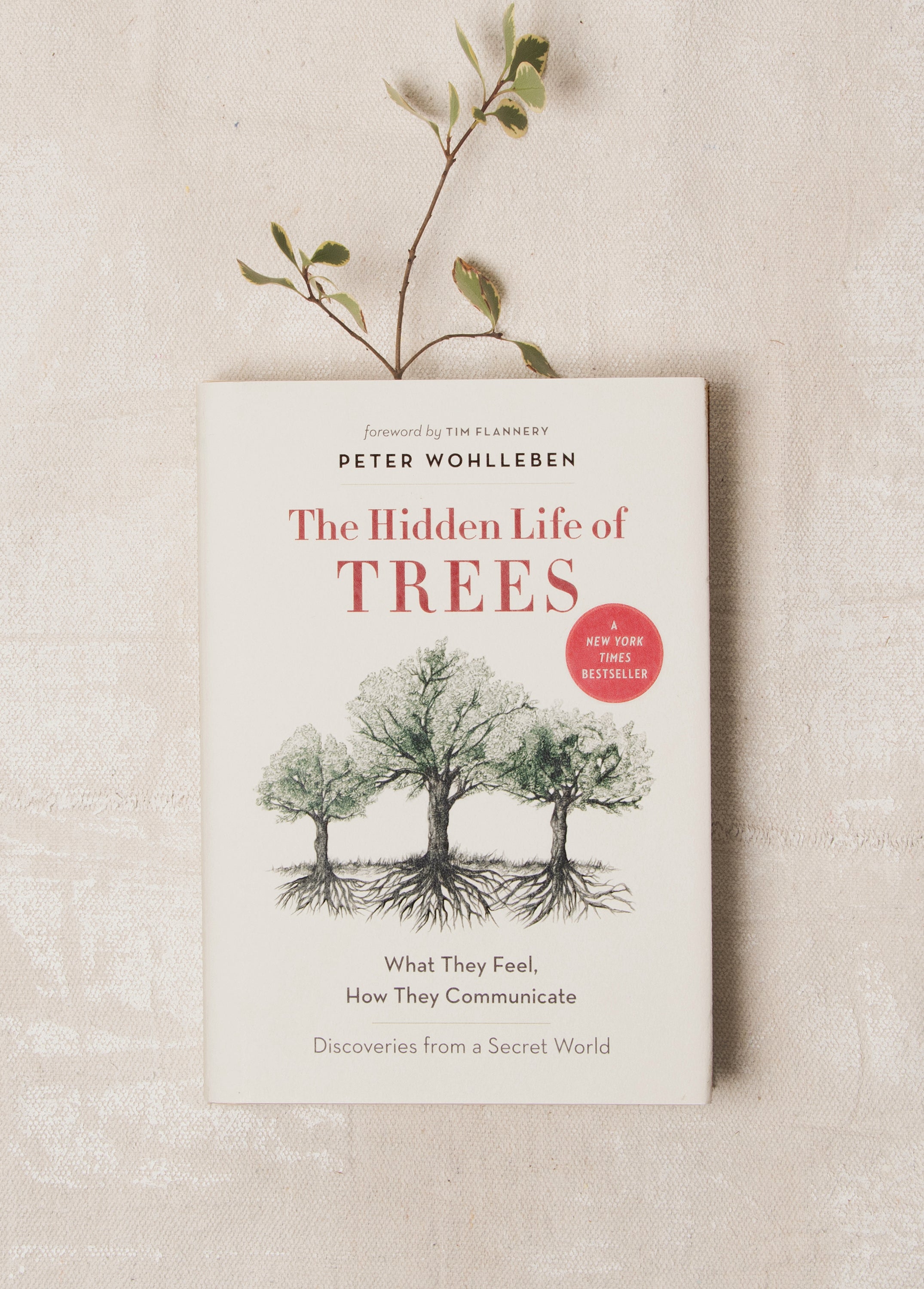 the hidden life of trees book