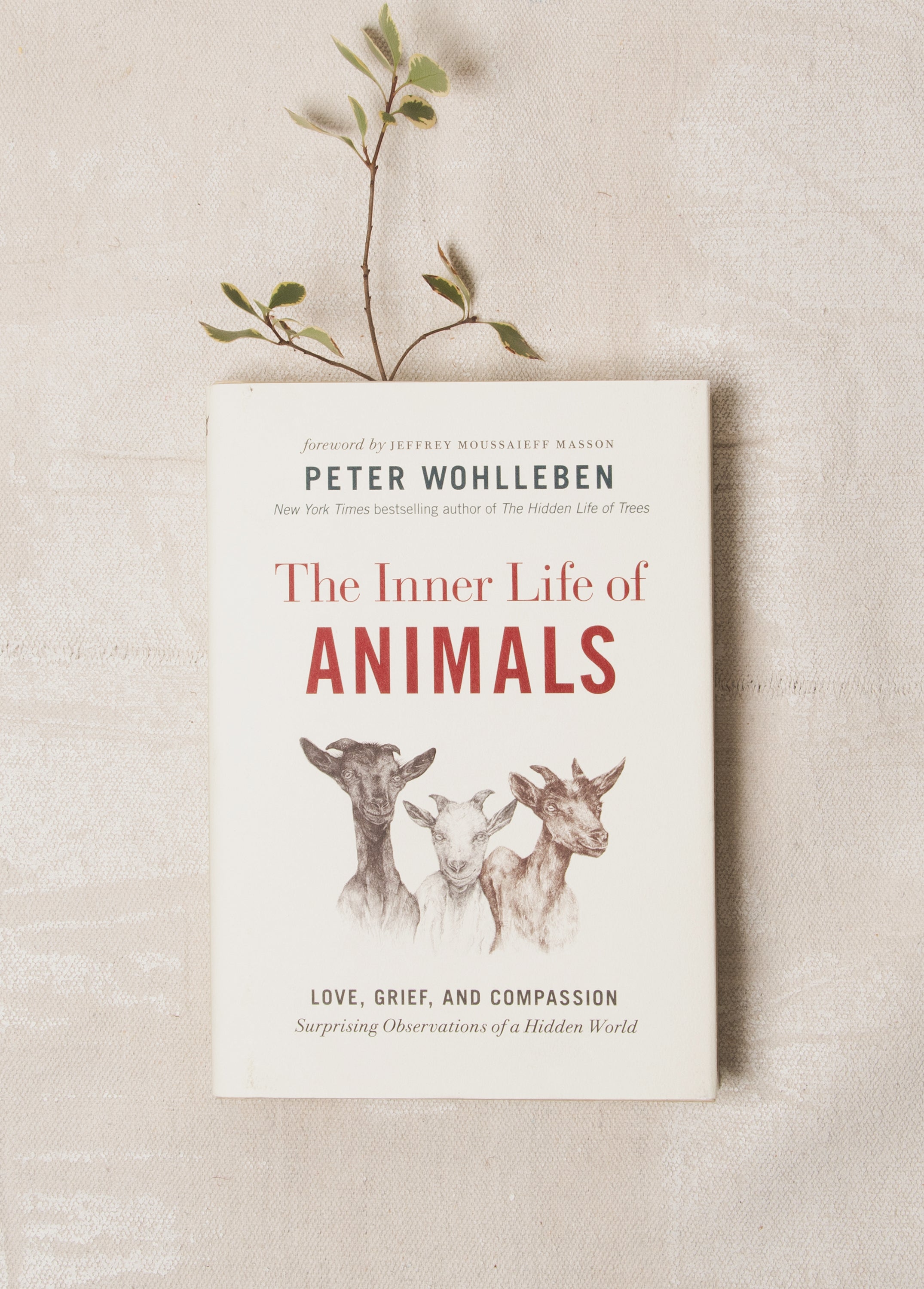 the inner life of animals by peter wohlleben