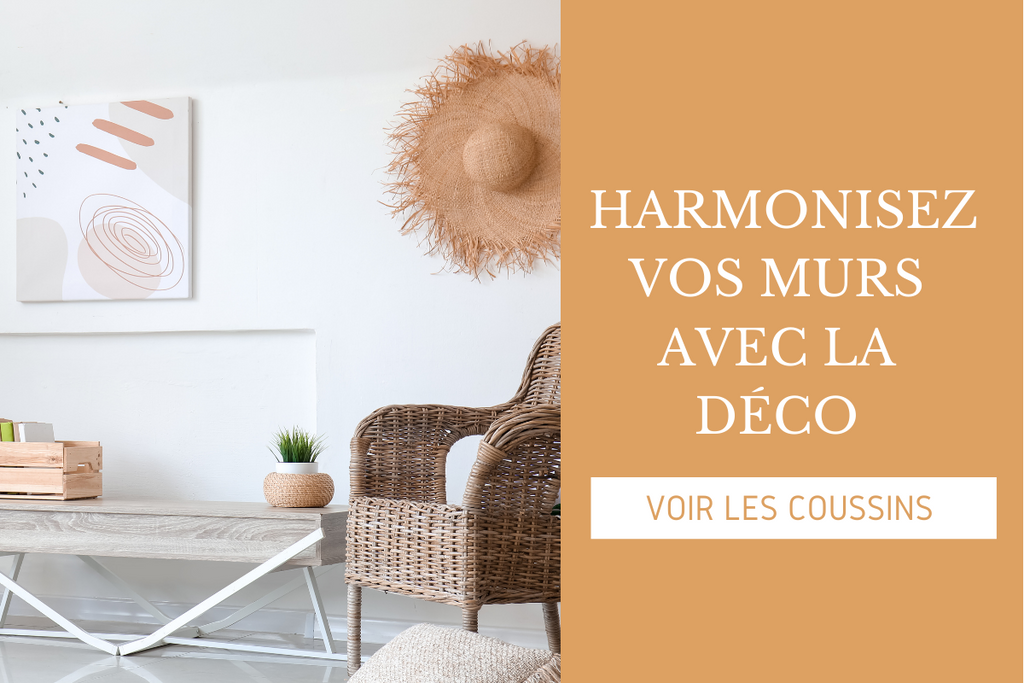 coussin de décoration et design pour la maison