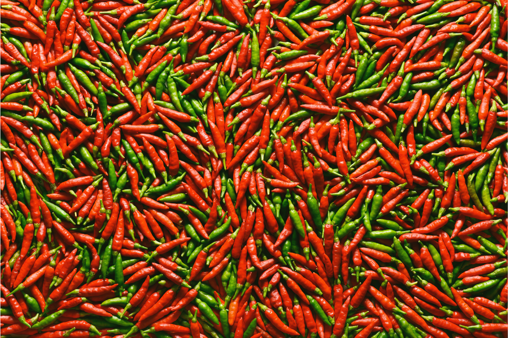 couleur vert et rouge opposé photo de piment
