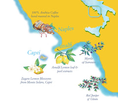 Solaro Capri Gin Botanicals