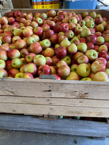 MacIntosh Apples 1 quart – Lyons Fruit Farm and Market