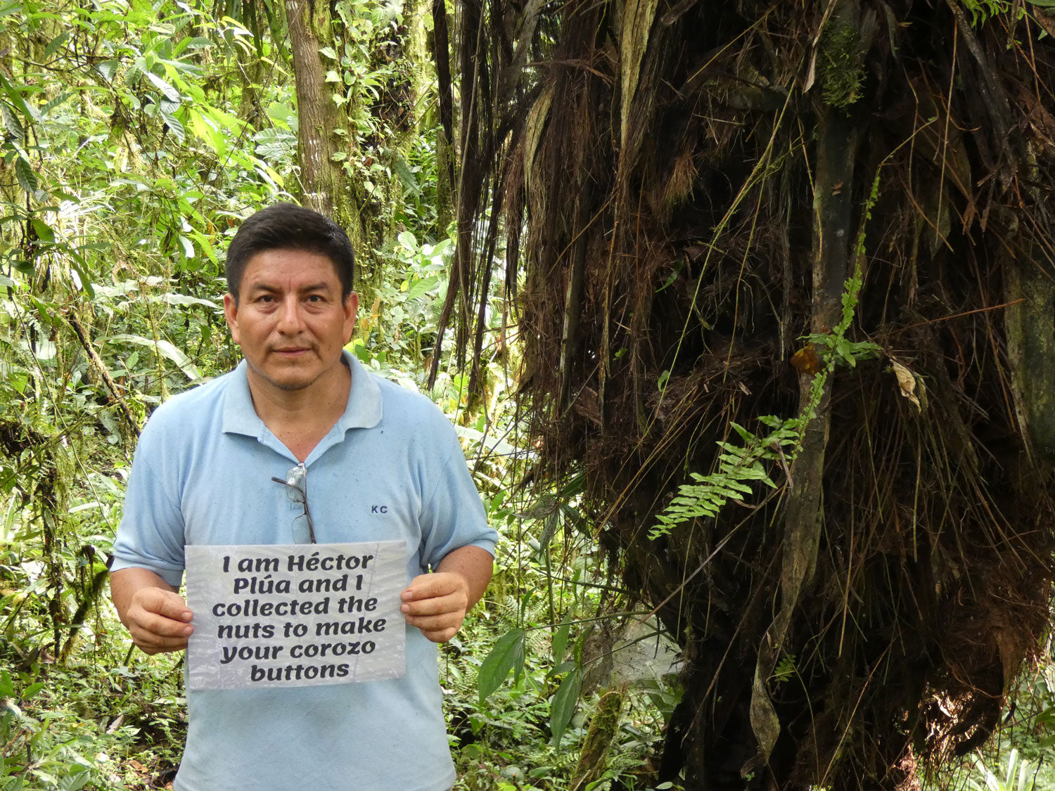 Man stands in the Ecuador rainforest by a Tagua Palm holding a sign with text: 'I am Hector Plua and I collected the nuts to make your corozo buttons'