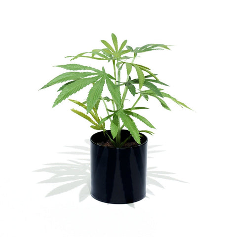 Omhoog Duplicatie Opera Pot Plant – potplant.shop