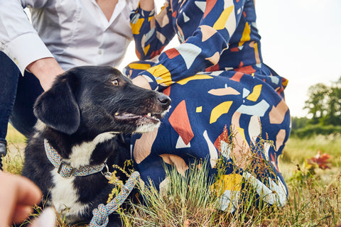 hundezubehör aus kletterseil nachhaltiges hundehalsbnad und leine im Set upcycling