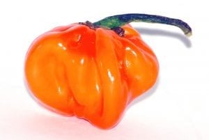 Understanding The Scoville Scale: Made Simple