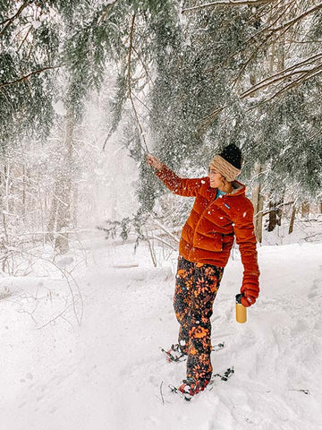 Earth’s Edge Snowshoeing West Michigan