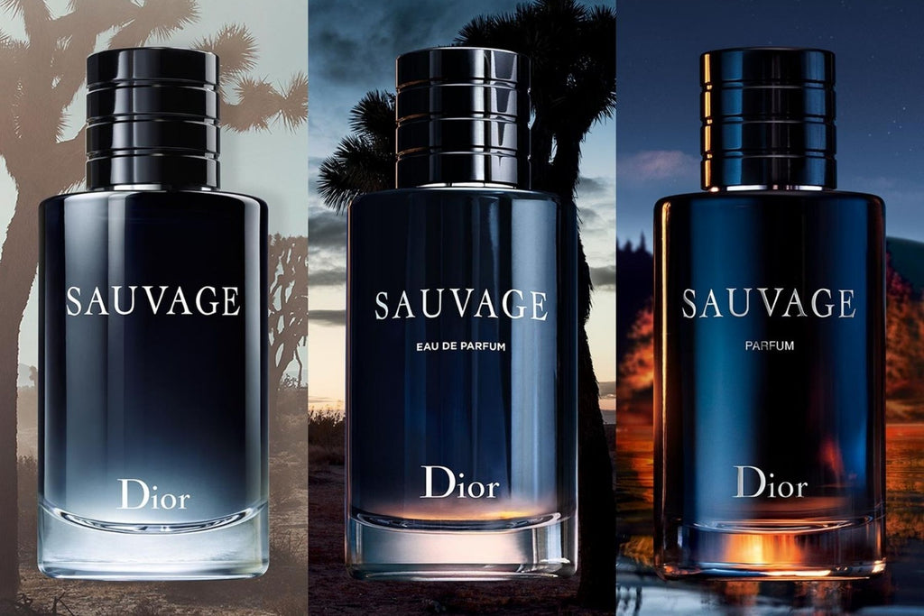 projektor Mellemøsten Anemone fisk Dior Sauvage Review – Liberty Perfume