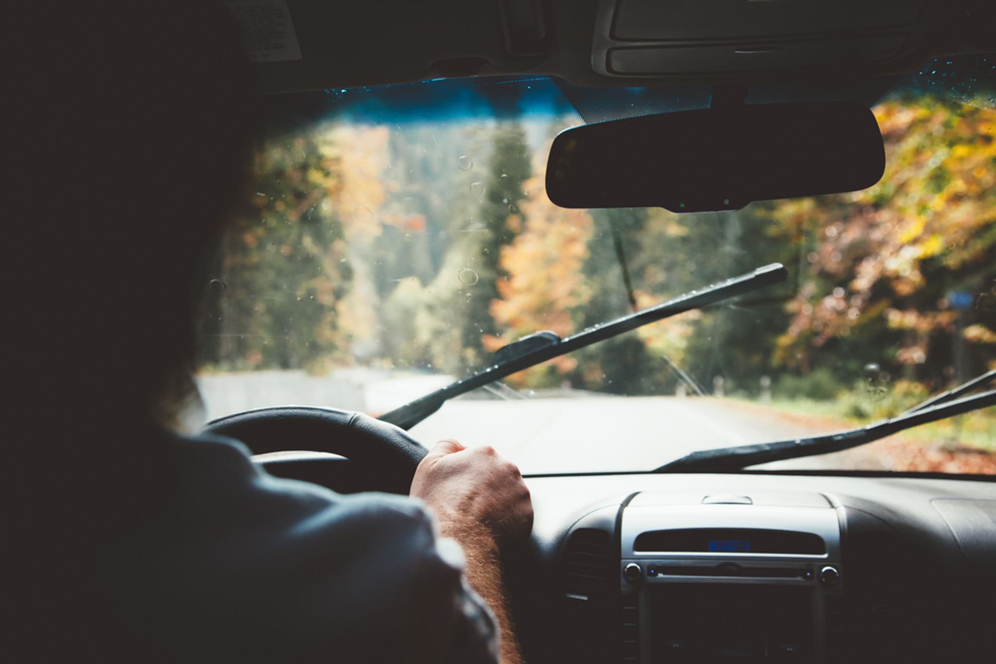 replacing a car's windshield cost